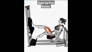 Single Leg PressMachine . #shorts #short #legworkout #fitness