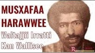 Seenaa Aja'ibaa Weellisaa ''Musxafaa Harawwee''- Jemal Abduletin