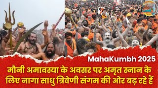 🔴WATCH | मौनी अमावस्या के अवसर पर अमृत स्नान के लिए नागा साधु त्रिवेणी संगम की ओर बढ़ रहे हैं।