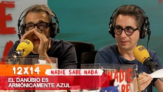 NADIE SABE NADA 12x14 | El Danubio es armónicamente azul