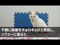 【感動する話】 実父の会社を引き継いだ私。夫「年収幾らになるんだ？」私「なかなか厳しくて370万だよ」嫌な予感がして嘘の金額を教えた。だが後日、義両親が会社にやってきて