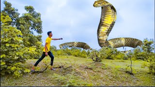 Anaconda Snake 8 In Real Life Hd 🎥Video