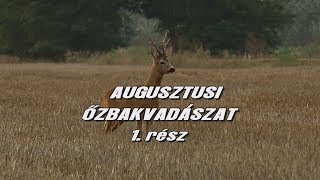 Augusztusi őzbakvadászat 1.rész Trailer