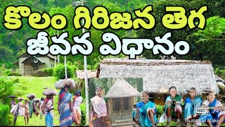 Tribal'sLifestyle Kolam |People Special Focus Tribes |కోలం గిరిజన తెగ జీవన విధానం స్పెషల్ ఫోకస్