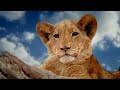 Mumford And Sons- Little Lion Man 🦁🦁🦁💓🎶 (Music safe)  😎 🎶🎼😉 🎶