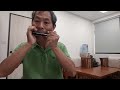 波蘭圓舞曲（紅苺菓變奏曲） harmonica solo