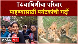 Nagzira Tiger Sanctuary : नागझिरा व्याघ्र प्रकल्पाला गतवैभव प्राप्त,वाघांची संख्या वाढली!