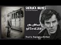 Sherlock Holmes | උමං දුම්රියේ අභිරහස් මරණය | Full Sinhala Audiobook | ෂර්ලොක් හෝම්ස් රහස් පරීක්ෂක