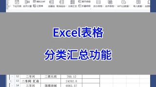 Excel表格：分类汇总功能。#wps #excel #办公技巧 #干货分享