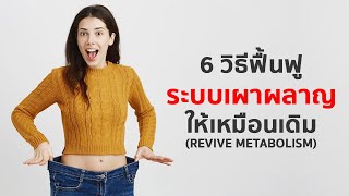 6 วิธี ฟื้นฟูระบบเผาผลาญพัง ให้ให้กลับมาดีเหมือนเดิม