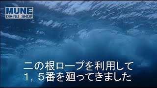 IOPのガイドロープで回ってみた　むねダイビングショップ