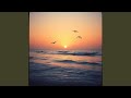 Fly Away