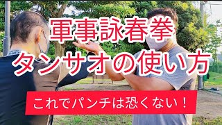 【護身術】これでパンチは恐くない！軍事詠春拳式タンサオの使い方！