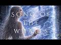 Song of the whales - Musicvideo
