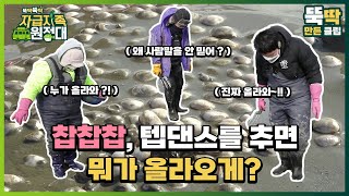 [뚝딱뚝딱 자급자족 원정대] 10회_찹찹찹 텝댄스 추는 자자대