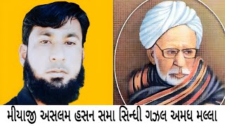 મીયાજી અસલમ હસન સમા સિન્ધી ગઝલ અમધ મલ્લા Miyaji Aslam Hassan Sama Sindhi Gazal #Aman malla