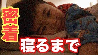 【密着】愛おしさが止まらない！ばしゃが寝るまで