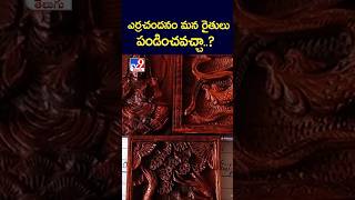 ఎర్ర చందనం మన రైతులు పండించవచ్చా | Red sandalwood - TV9