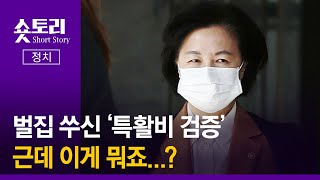 [숏토리:정치] 벌집 쑤신 ‘특활비 검증’, 근데 이게 뭐죠...?