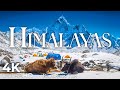 The Himalayas in 4K - Majesty of Everest Peak - Nature Relaxation Film 4K Ultra HD