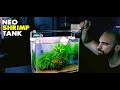 Aquascape Tutorial: Neocaridina Shrimp Tank (How To: Step By Step Planted Aquarium Guide)