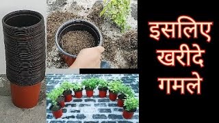 765- Chrysanthemum Work / गुलदाऊदी का काम / Pots For Chrysanthemum / September Care Of Chrysanthemum