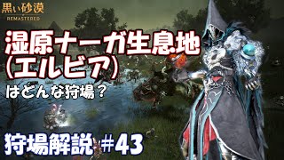 【黒い砂漠】湿原ナーガ生息地(エルビア)のあるきかた【狩場解説 #43】