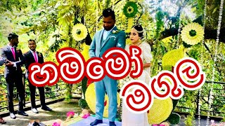 ලස්සනම මංගල දවස @surangasomasundara4043