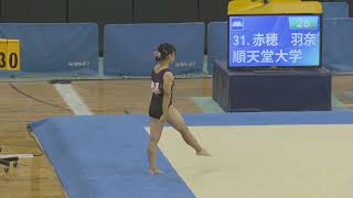 2023 AKANO Hana 赤穗羽奈 Synchronized Floor Music