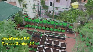 #மாடி தோட்டம் 2.O #Terrace Garden 2.O