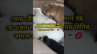 তোর ঠোঁট এত মিষ্টি কেনো  |  Why are your lips so sweet.