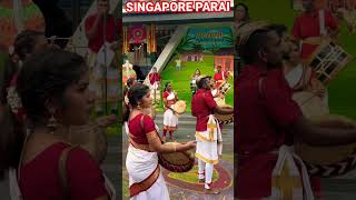 சிங்கப்பூர் பறை இசை கலைஞர்களின் வெறித்தனமான ஆட்டம்#singapore #parai #thappattam #music #treditional