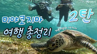 🇯🇵EP4) 일본 휴양지 추천 미야코지마 맛집 거북이 스노클링 투어, 히가로드파크 별보기, 비치까지 완벽 조합 🌊🍣⭐ 미야코지마 여행 코스 총정리!