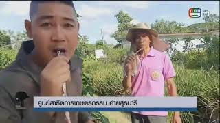 โครงการทหารพันธุ์ดี เขามีอะไร !!