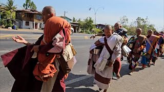 Chờ Sư thầy thích minh Tuệ khất thực sáng nay 🙏🙏🙏🙏