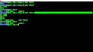 Putting Processes in the Background Part 2 Linux Shell Script Tutorial