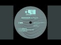 In A Fog (Da Funk's Sternenmeer Remix)