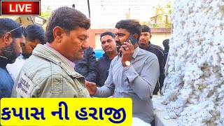 🔴 કપાસ ના ભાવ આજના || live cotton trading price today in jasdan APMC, kapas Na bhav,January 9, 2025