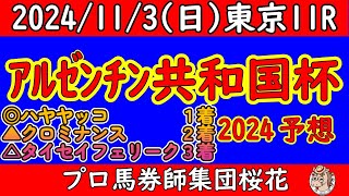 アルゼンチン共和国杯2024レース予想！実績馬ハヤヤッコや人気のクロミナンスやサヴォーナなど出走してきた！ハンデ戦でタイセイフェリークなどどの馬にもチャンスあり！