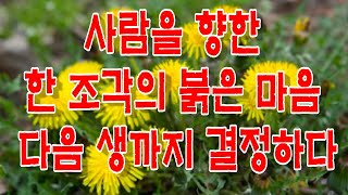 [재미있고 기이한 옛이야기])(전설, 설화, 영웅담, 신화, 귀신, 저승체험) 사랑하는 사람을 향한 한 조각의 붉은 마음