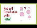 rdw red cell distribution width rdw sd rdw cv normal ranges high rdw rdw and aneamia rdw formula