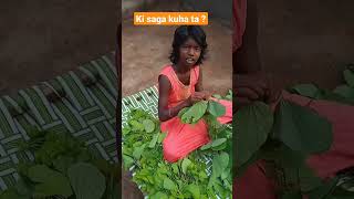 barada patara saga | tribal food | #viralshorts #youtubeshortsvideo barada saga recipe