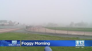 Foggy Saturday Morning Around The Region