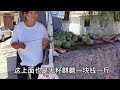 猪肉变价太吓人，看7月9日集市上卖多少钱一斤？大吃一惊~带你们看每天中国菜市场物价【茉茉妈vlog】