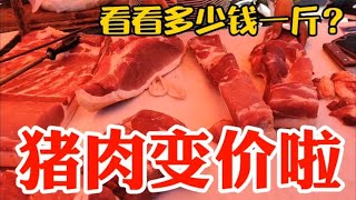 猪肉变价太吓人，看7月9日集市上卖多少钱一斤？大吃一惊~带你们看每天中国菜市场物价【茉茉妈vlog】