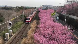 京急（三浦海岸 三崎口）