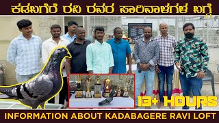 INFORMATION ABOUT KADABAGERE RAVI LOFT | ಕಡಬಗೆರೆ ರವಿ ರವರ ಪಾರಿವಾಳಗಳ  ಬಗ್ಗೆ