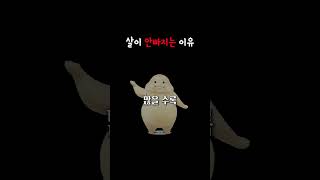 열심히 노력했는데 다이어트에 계속 실패하는 이유