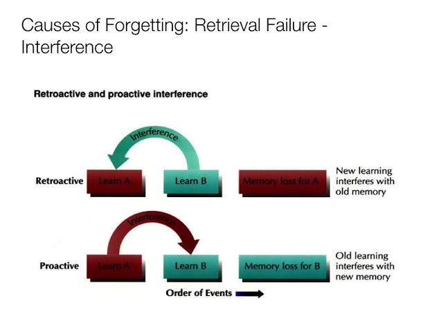Interference Memory Psychology