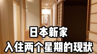 大连人和日本媳妇的新家，看看里面的设计如何？